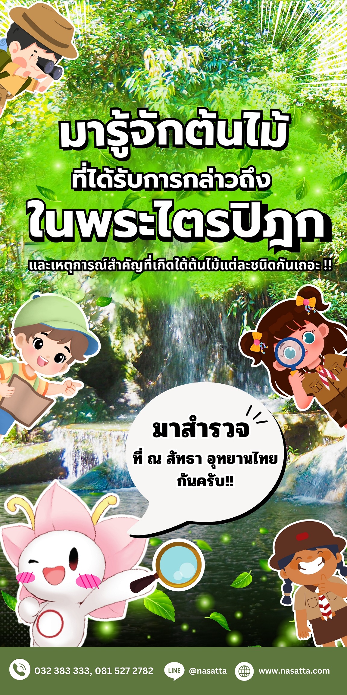 จากต้นไม้ (1)